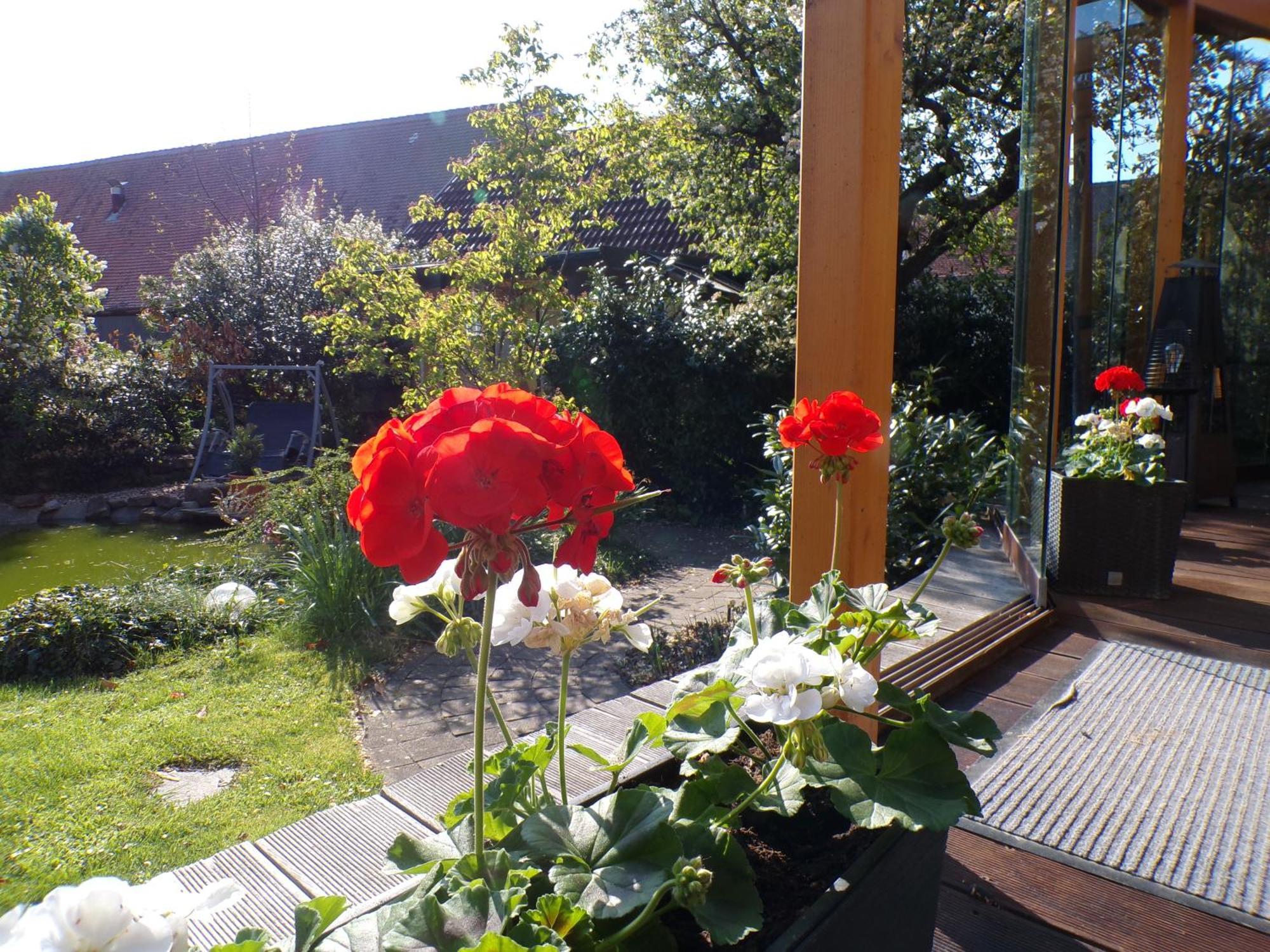 Mondfaenger Ferienwohnung , Naehe Playmobil Funpark Und Messezentrum Wilhermsdorf  外观 照片